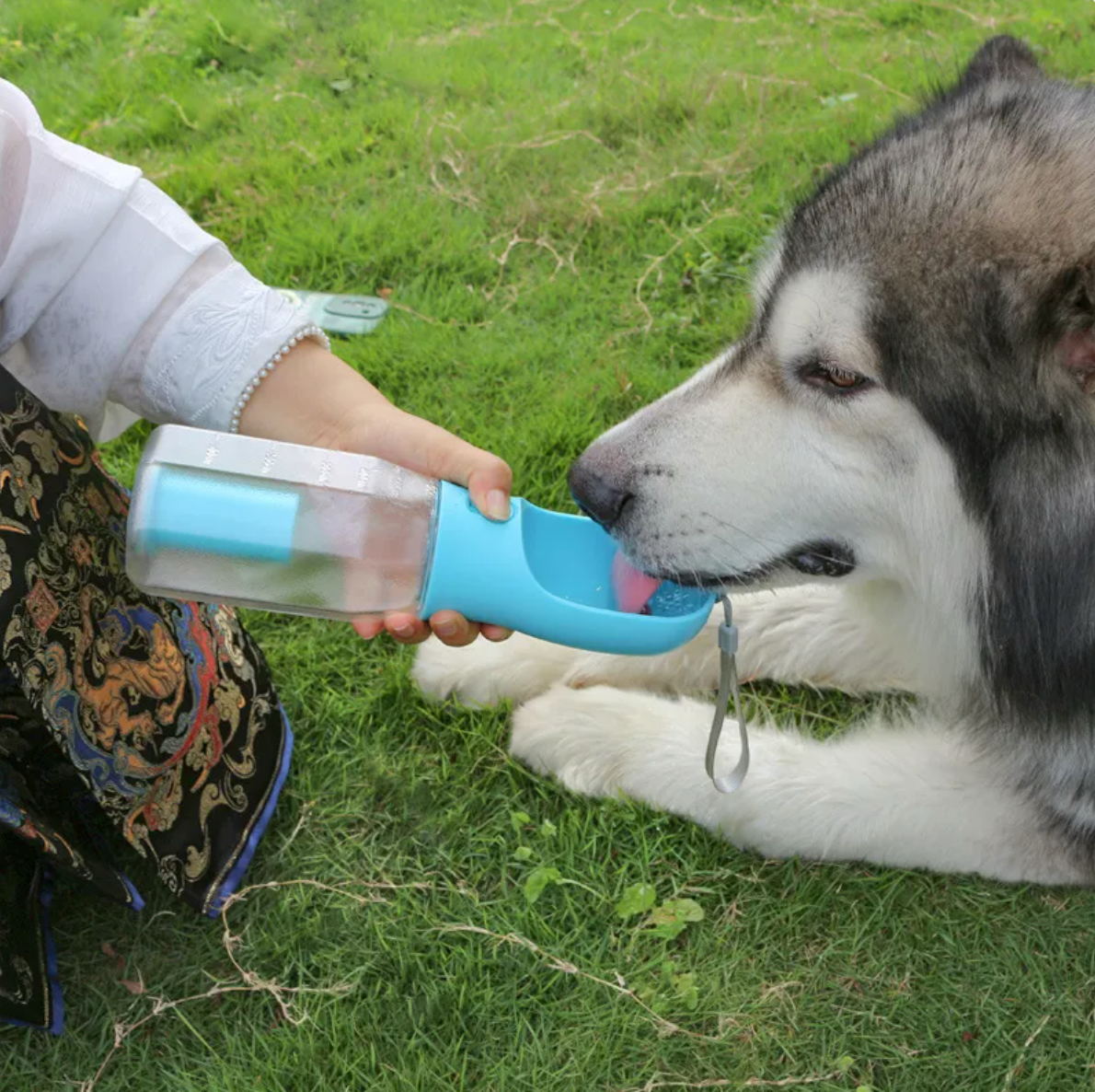 3-in-1 Portable Pet Water Bottle with Food Cup