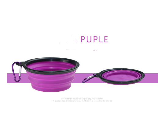 Collapsible Pet Travel Bowl with Clip
